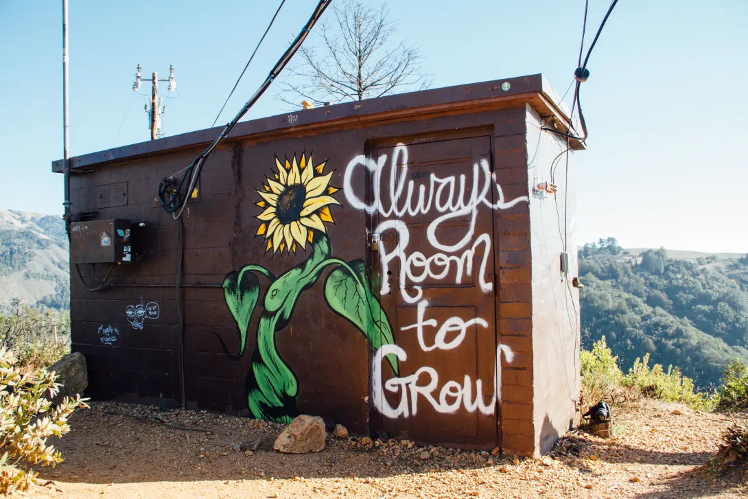An American brown electricity house on the edge of a valley. The shed is painted with a sunflower and the words "Always room to grow"